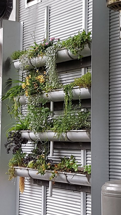 Troppo - Local Finder 9