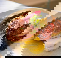 Pony and Cole - Lawyer Find