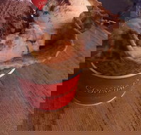 Royal Copenhagen Ice Cream Cone - Lawyer Find