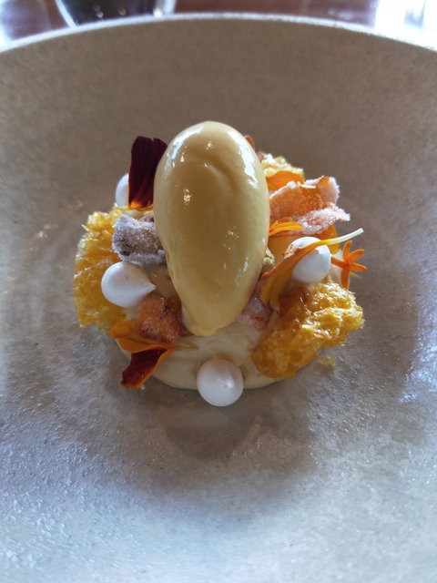 Maxwell - Lawyer Find 4