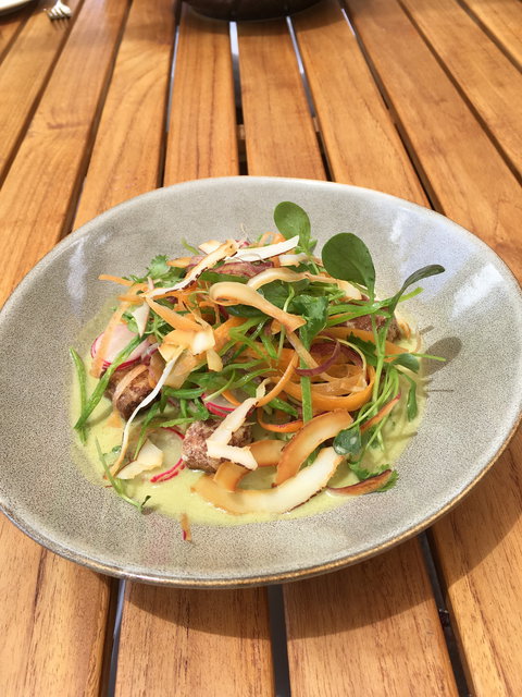 The Currant Shed - Local Finder 5