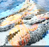 The Lost Loaf - Click Find