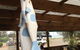 The Rockpool Cafe - thumb 2