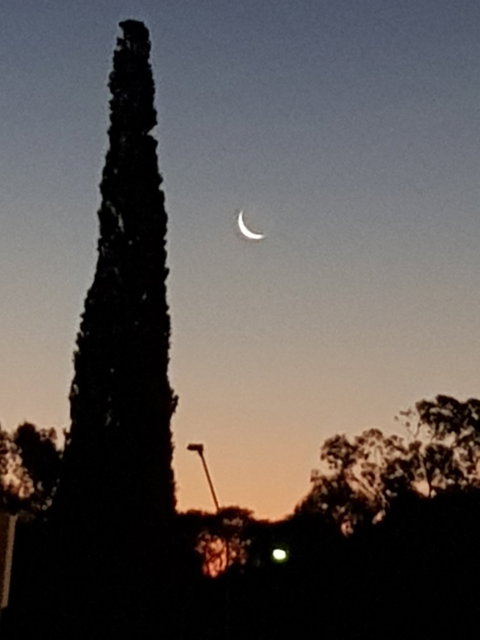 Barmera Bakery - Bridge Guide 7