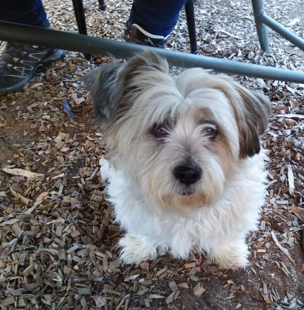 Cinnamon Grove - Bridge Guide 0