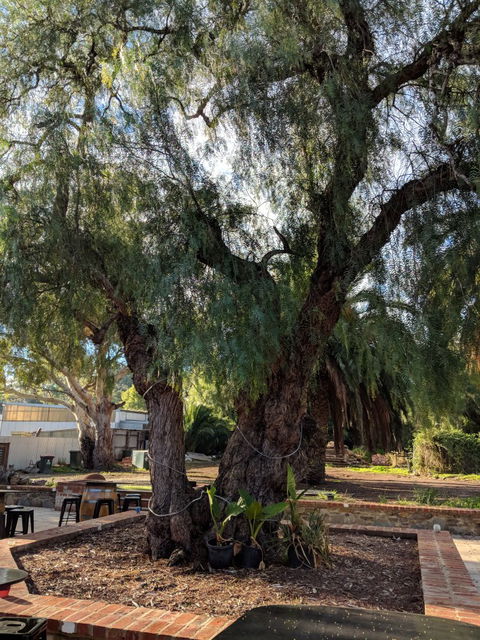 Dell'uva Wines - Click Find 4