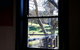 Maximilian's Restaurant & Cellar Door - thumb 1