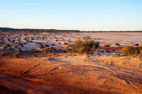 Mozie's Truckstop & Diner - Bridge Guide 0