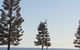 Normanville Hotel Restaurant - thumb 4
