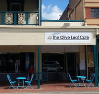 Olive leaf - Lawyer Find