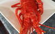 Robe Seafood & Takeaway - thumb 1