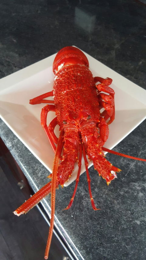 Robe Seafood & Takeaway - Bet 4u 6