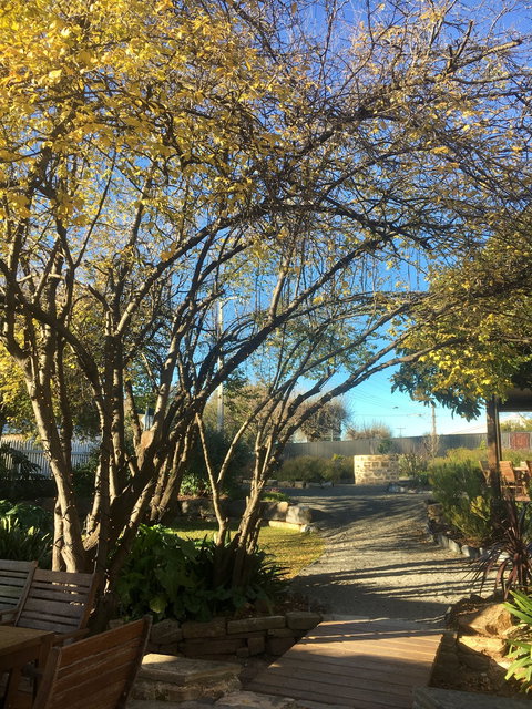 Velvet And Willow Wines - Bet 4u 10