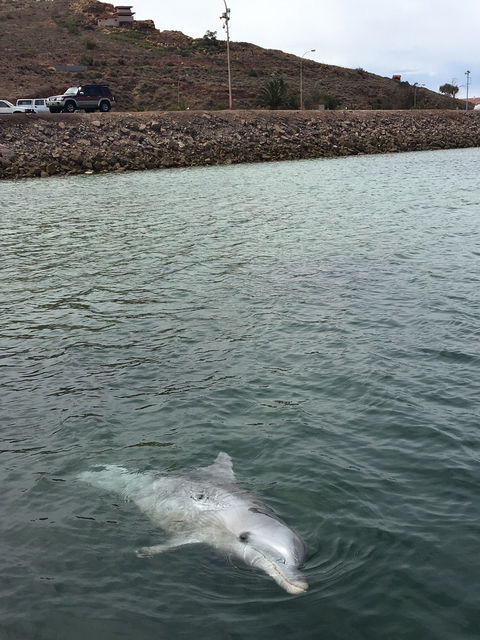 Whyalla Foreshore - Click Find 1