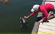 Whyalla Foreshore - thumb 8