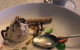 George's Paragon Seafood Restaurant - thumb 6