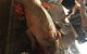 Il Locale Italian - thumb 4