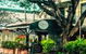 Journey Cafe & Bar - thumb 3