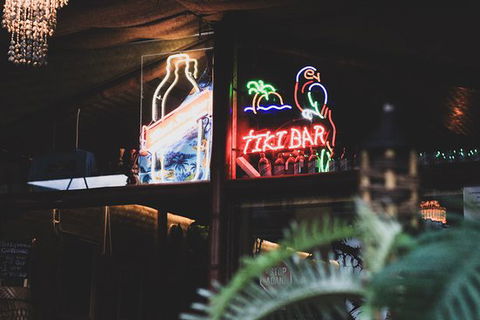 Jungle Bar - Click Find 0