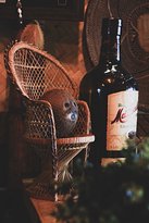 Jungle Bar - Click Find 2
