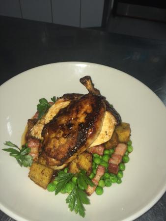 Mick O'Malleys Irish Pub - Click Find 0
