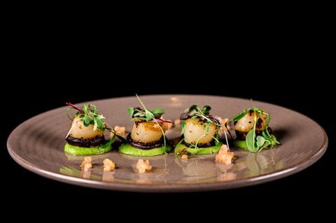 Motion Dining - Lawyer Find 0