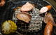 Nonbei Sake Bar & BBQ - thumb 0