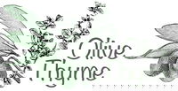 Olive Thyme Turkish Cuisine