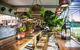 Saint Lucy Caffe E Cucina - thumb 0