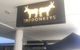 Two Donkeys - thumb 1