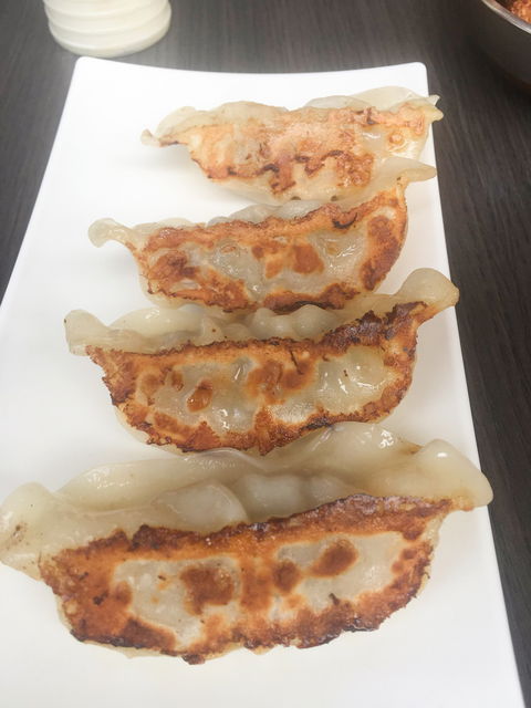 Yum Yum Gyoza House Bulimba - Click Find 4
