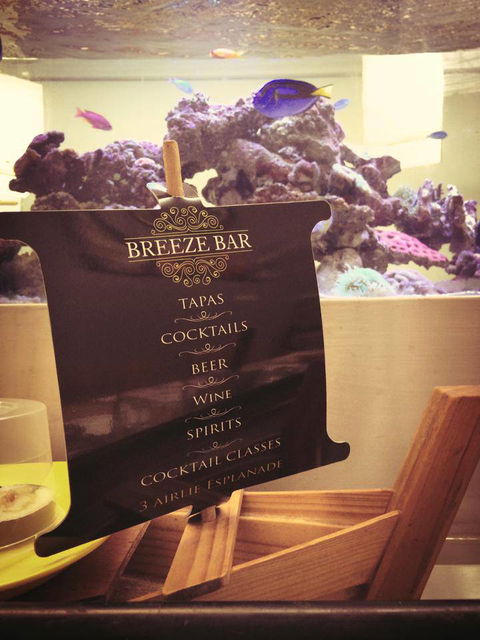 Breeze Bar - Bridge Guide 3