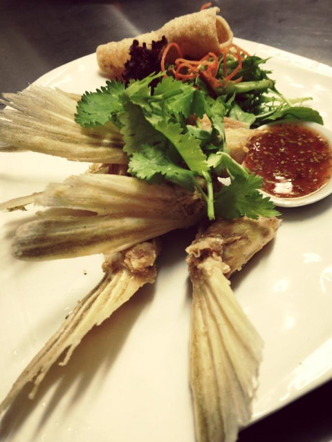 The Little Plate - Bridge Guide 1