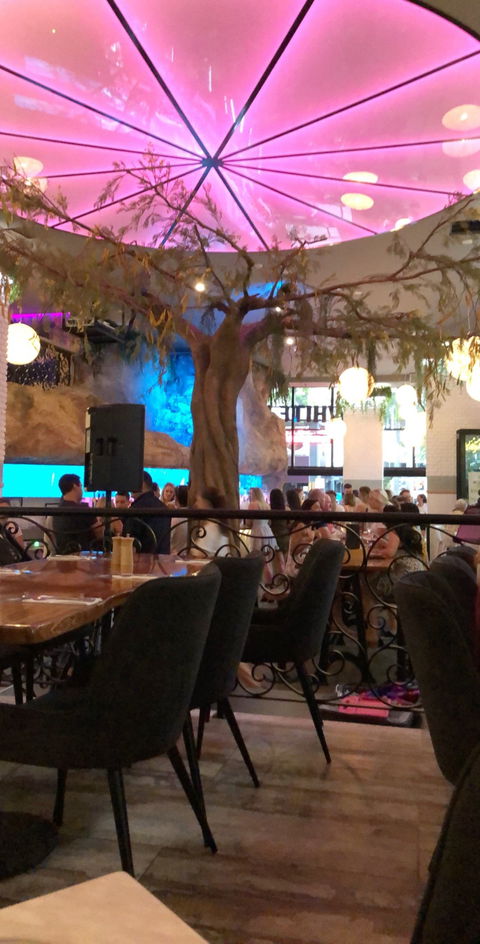 White Rhino Bar And Eats - Click Find 4