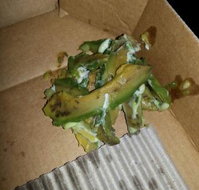 Crust Pizza Burleigh - Bridge Guide