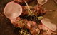 Fire Cue Bar & Grill - thumb 1