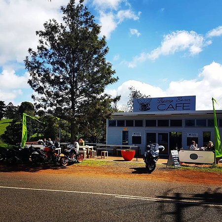Lower Beechmont QLD DBD