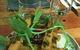 Greenhouse Canteen And Bar - thumb 2