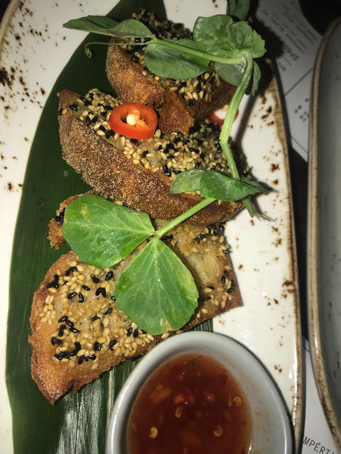 Mr Hizola's - Bridge Guide 5