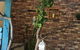 Woodbox Cafe - thumb 6