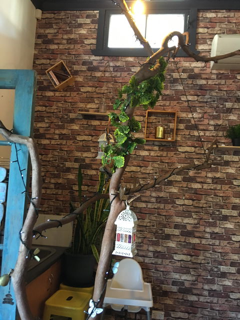 Woodbox Cafe - Click Find 6