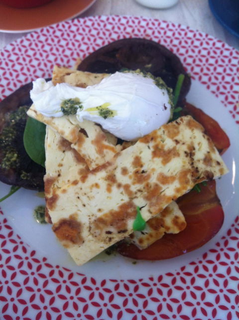 Millie J & Co Northshore - Click Find 3