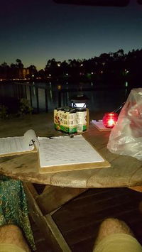 Business in Springfield Lakes QLD Click Find Click Find