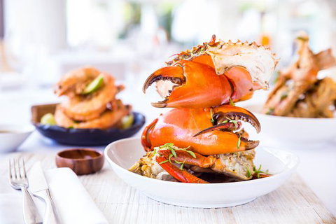 Noosa Beach House Peter Kuruvita - Bridge Guide 0