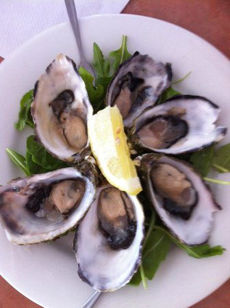 Noosa Yacht And Rowing Club - Click Find 0