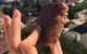 Urth Cafe Bar - thumb 5