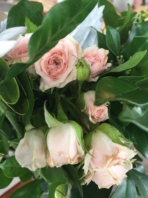 Aimee Provence - Bet 4u 1