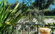 Manta Ray Bistro At Stradbroke Island Beach Hotel - thumb 5