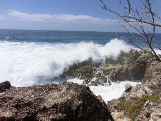 North Stradbroke Island QLD Bet 4u