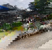 Kith 'n' Chow - Bet 4u